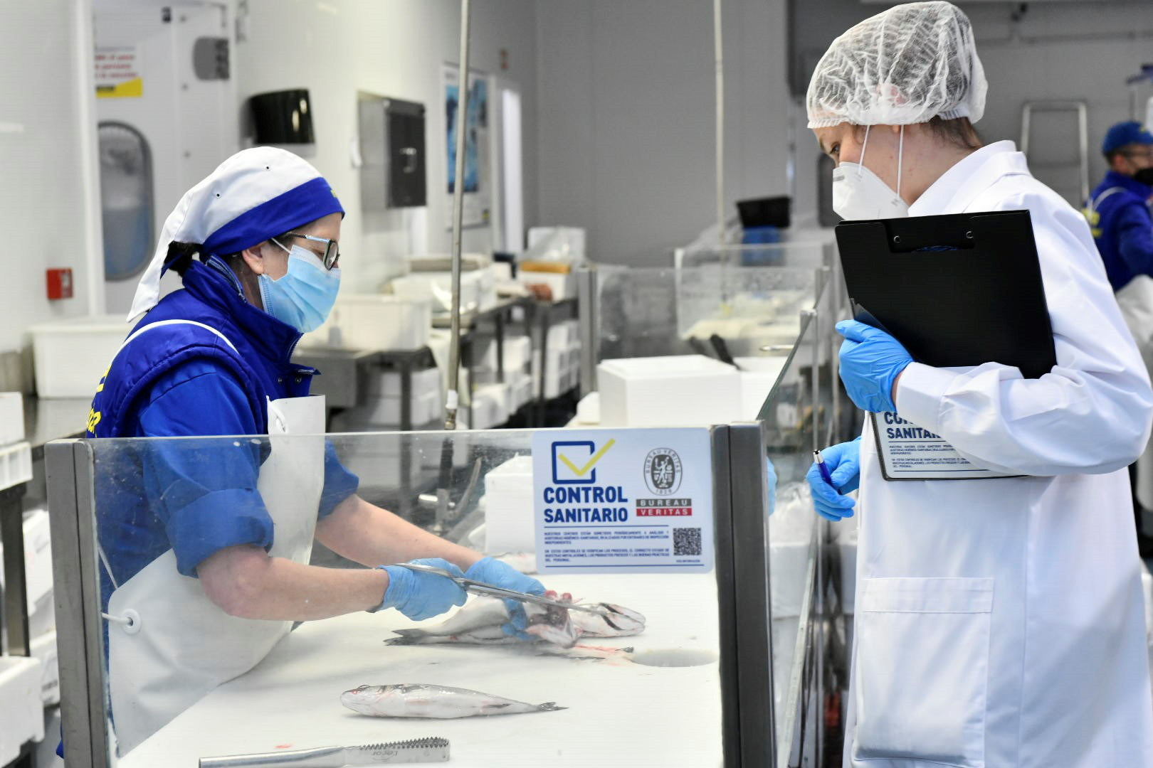 Makro seguridad alimentaria