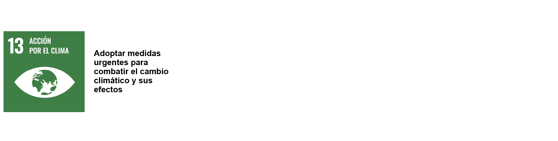 ods 13 quienes somos