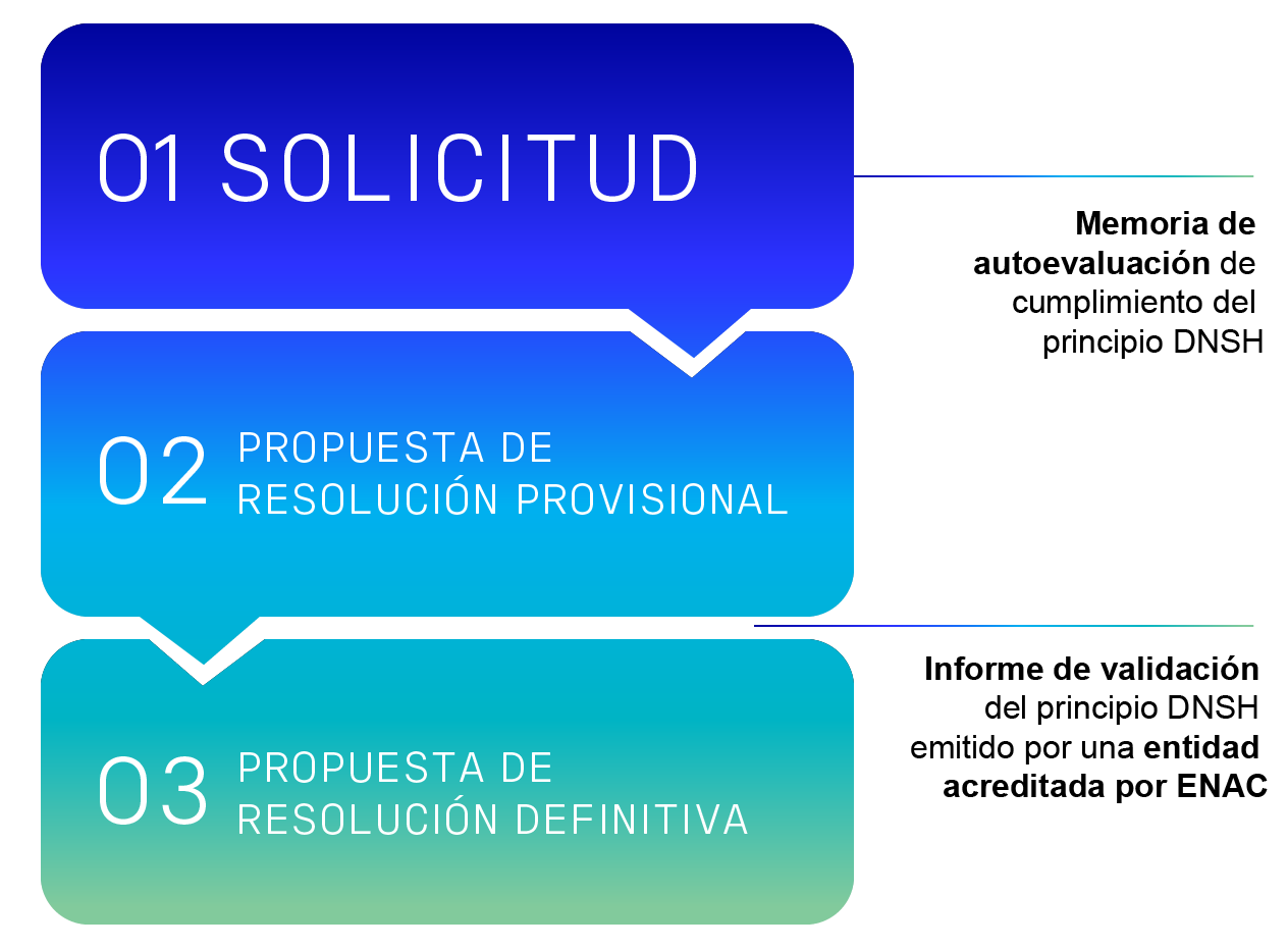 infografia DNSH