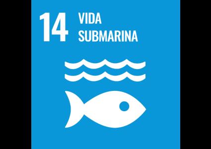 ODS 14 - Vida submarina