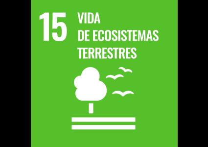ODS 15 - Vida de ecosistemas terrestres