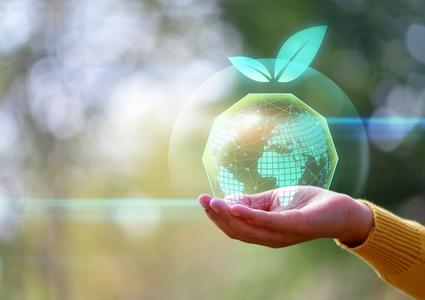 Asistencia técnica en medio ambiente