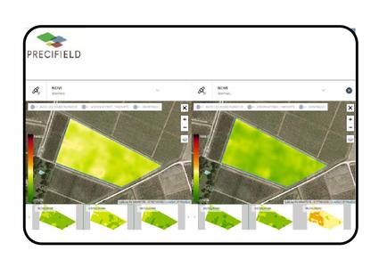 parcela vitícola agricultura de precisión