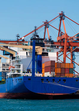 Formación Sector Naval