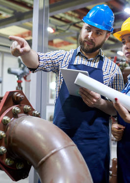 Gestión del Proceso Seguridad