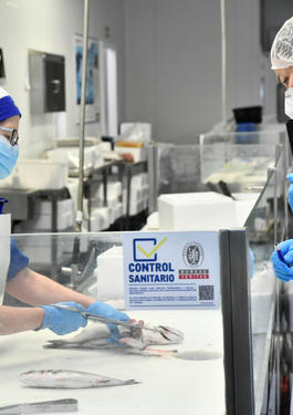 Makro seguridad alimentaria