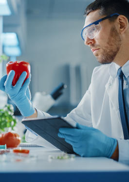 sistema de gestión de seguridad alimentaria