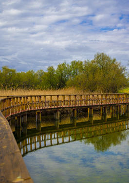 Whitepaper huella de carbono