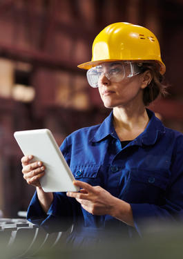 auditorias en remoto