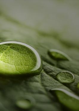 ESG Medio ambiente