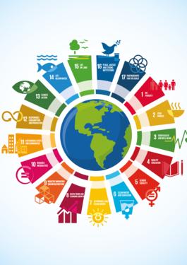 Sistema de gestión de la RSC alineado con los ODS