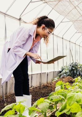 Certificación IFS Food