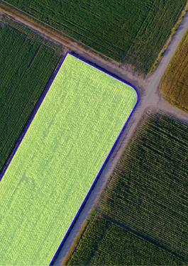 servicios de agricultura de precisión