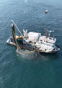 pesca sostenible MSC