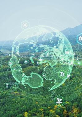 ISO 14001, norma para la gestión ambiental