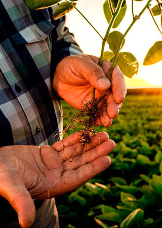 INSPECCIÓN DE ORIGEN