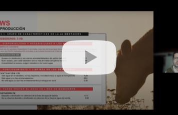 webinar paws provacuno binestar animal