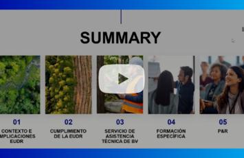Video Webinar. El nuevo desafío verde de la UE para las empresas. 