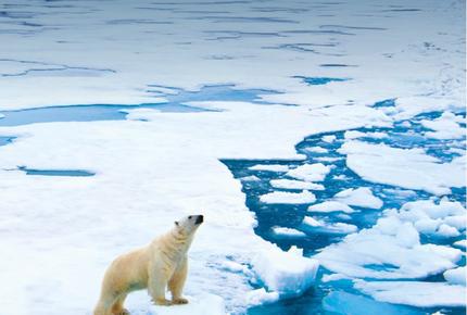 Portada white paper huella de carbono