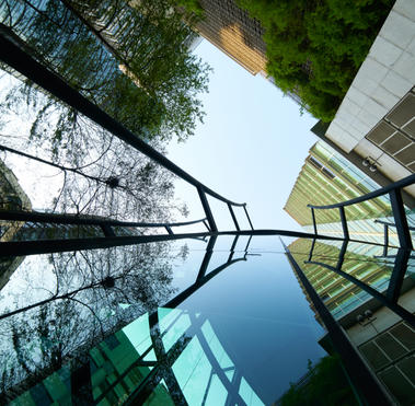 responsabilidad y buen gobierno empresarial