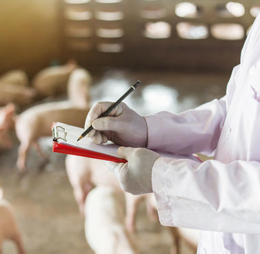 inspección bienestar animal 