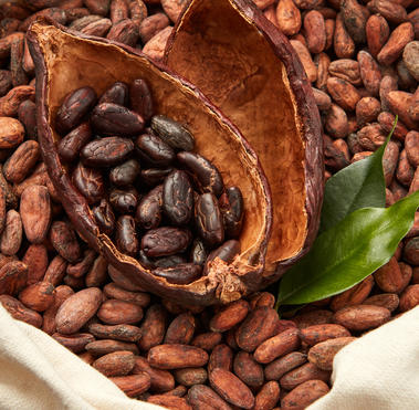 Cacao EUDR