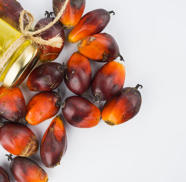 Aceite de Palma EUDR